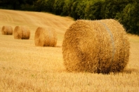 C:\Users\Inna\Desktop\depositphotos_8424740-stock-photo-straw-bale.jpg